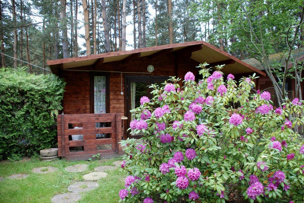 Audrones Sodyba Sventoji Exterior photo